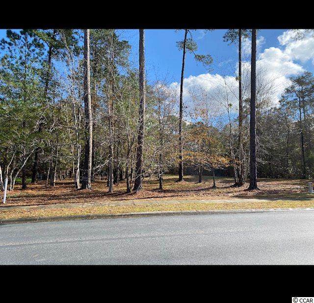 224 Chamberlin Rd. - Photo 1