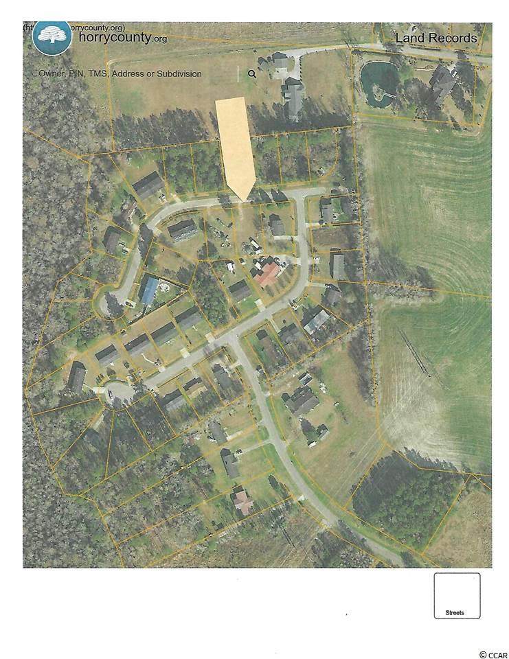 8311 Bucksport Heights Ct. - Photo 1