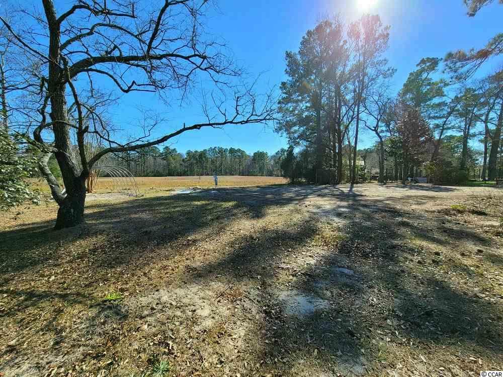 908 Gully Ct. - Photo 1