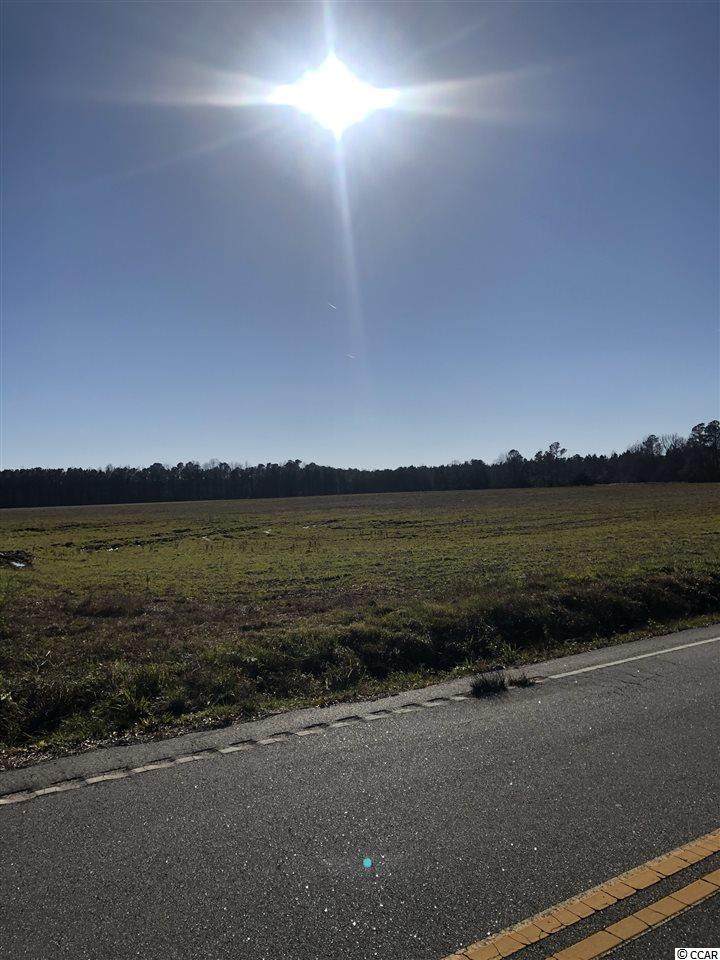 710 Mitchell Swamp Rd. - Photo 1