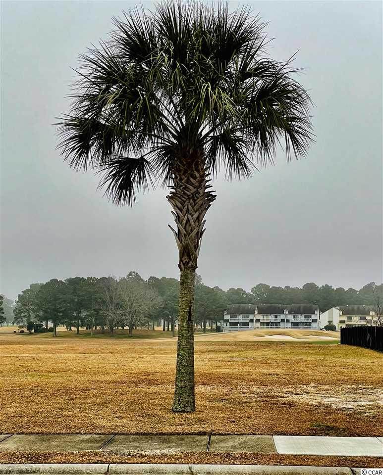 360 Palms Dr. - Photo 1