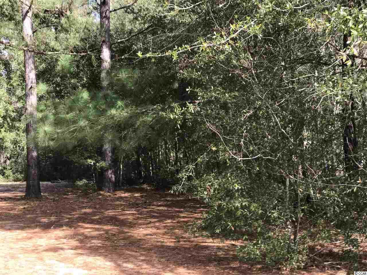 TBD Highway 917 - Photo 1