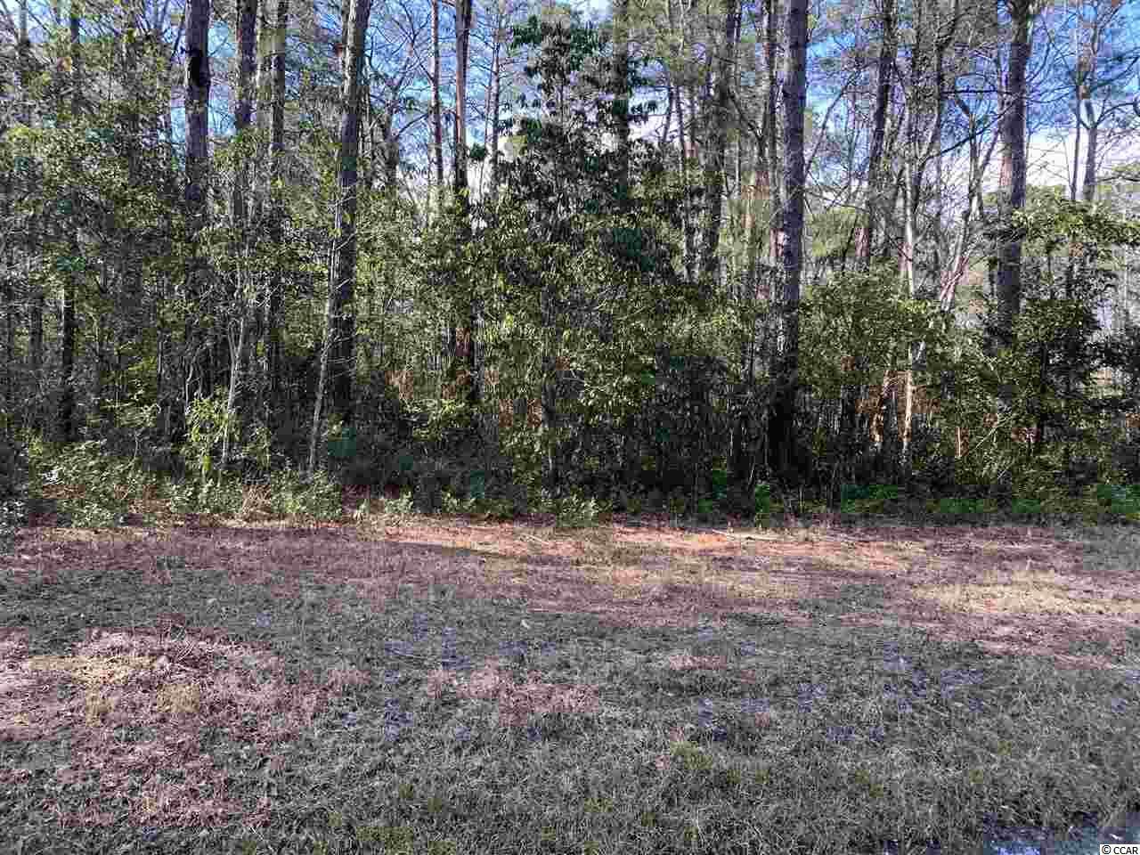 555 Leatherwood Dr. - Photo 1
