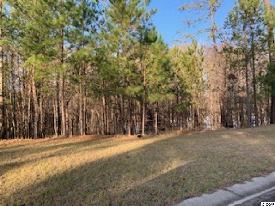 35 Black Harbor Dr. - Photo 1