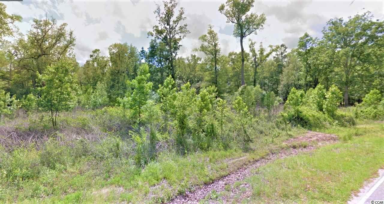 Lot 47 Rowe Pond Rd. - Photo 1