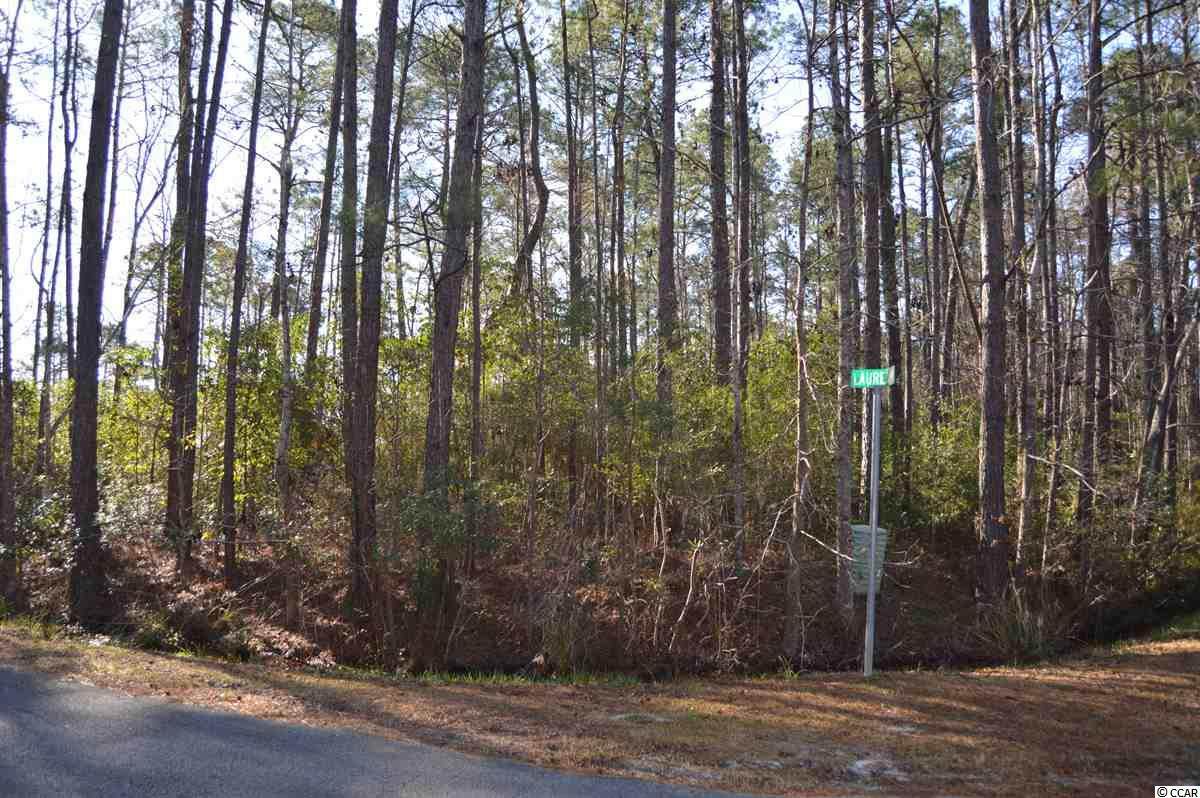 405 Laurel Ct. - Photo 1