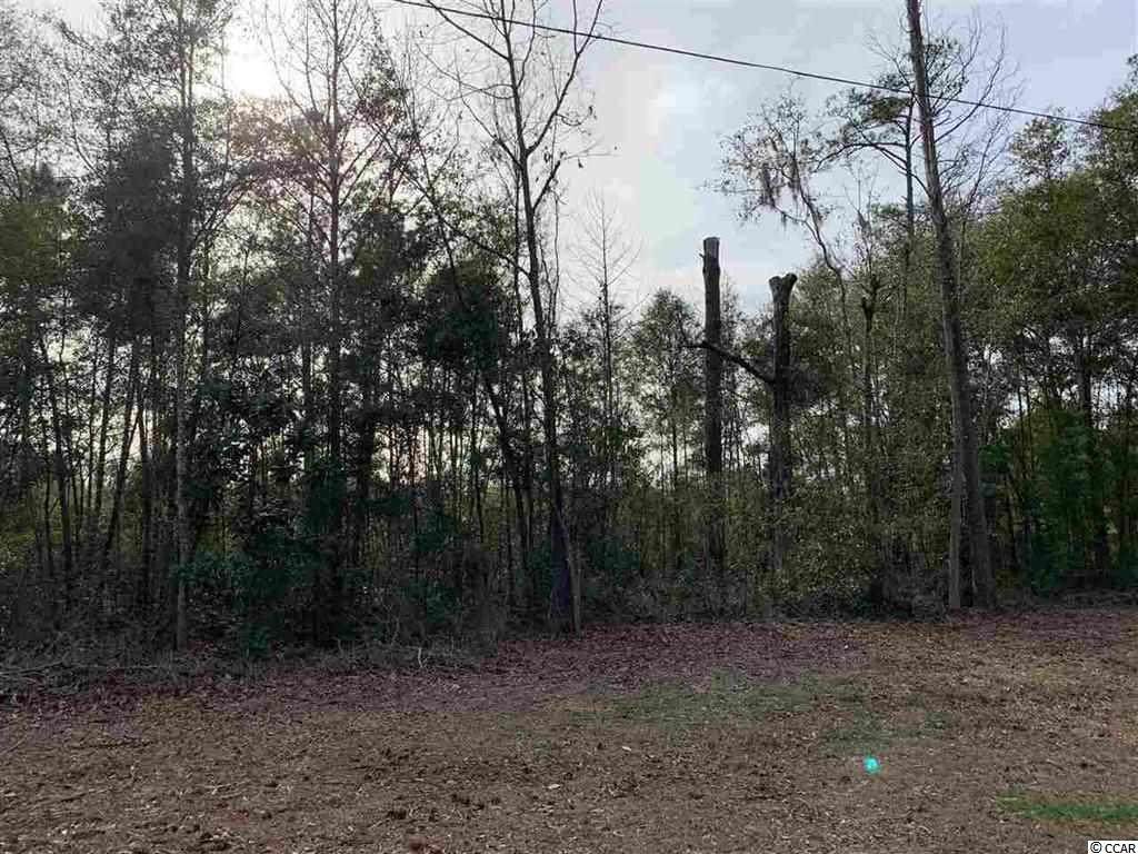 TBD Steep Landing Rd. - Photo 1