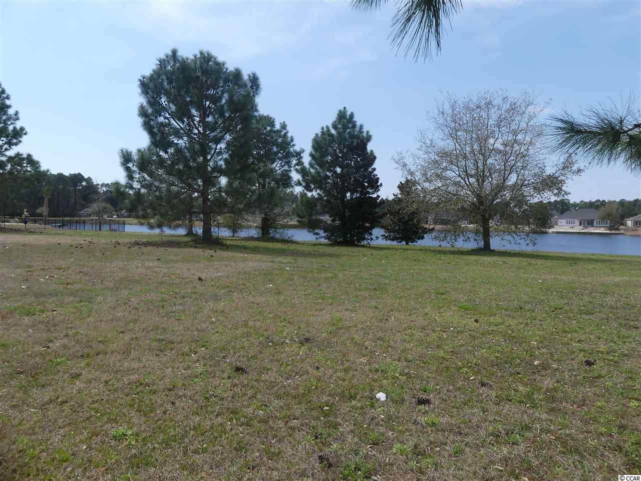 1109 &1113 Glossy Ibis Dr. - Photo 1
