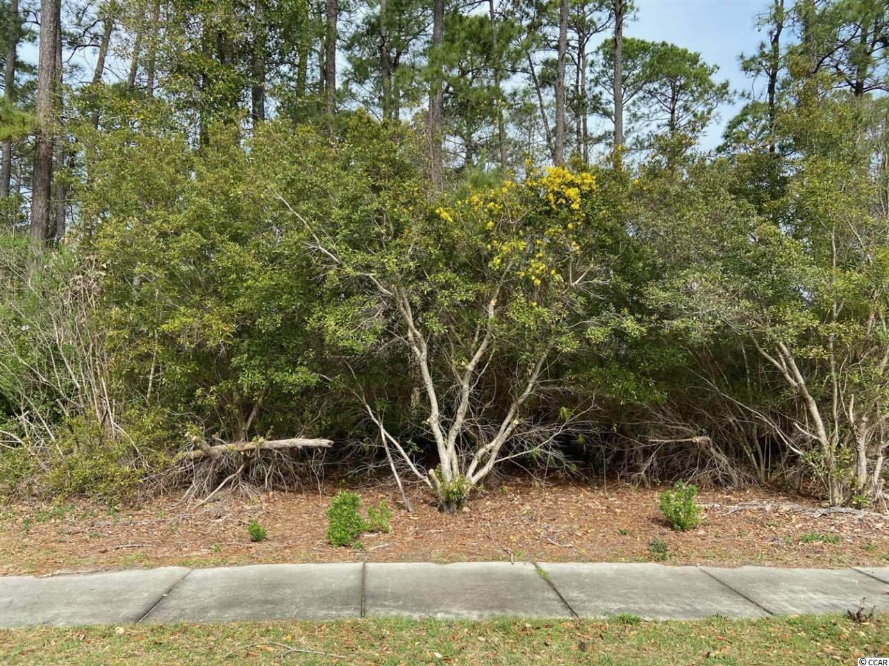 8201 Devon Ct. - Photo 1