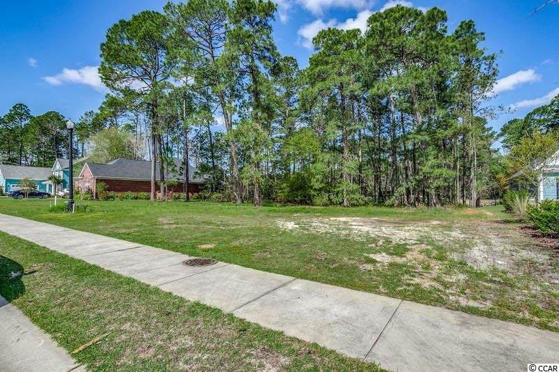 1828 Wood Stork Dr. - Photo 1