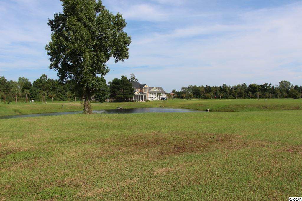 117 Oyster Point Way - Photo 1