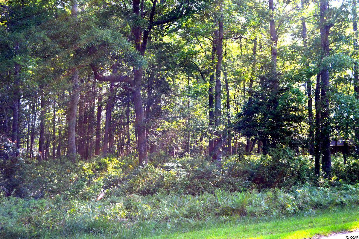 17 Pinewood Dr. - Photo 1