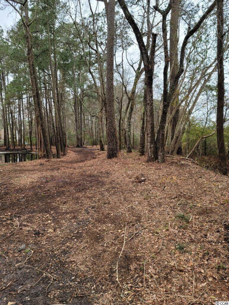 4292 Appaloosa Dr. - Photo 1