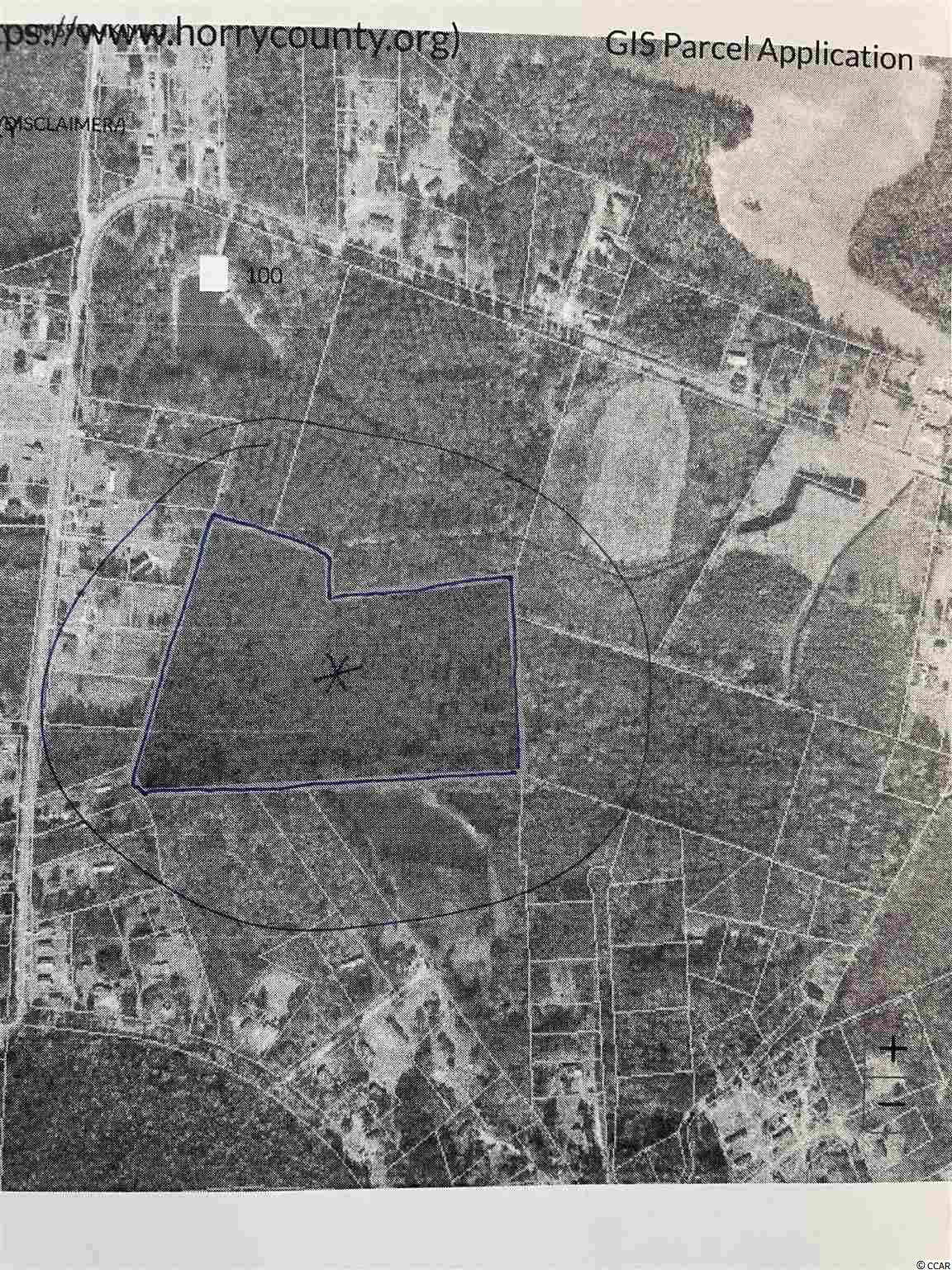 22.5 Acres Pint Circle - Photo 1