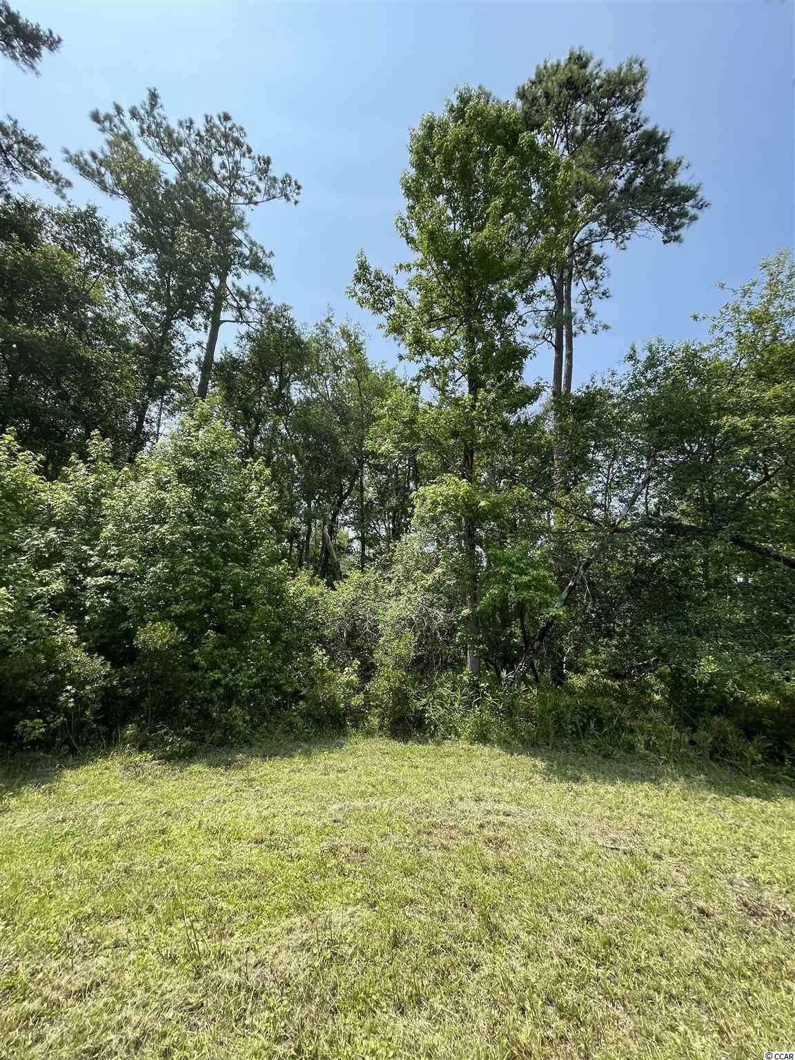 165 Chippewa Ln. - Photo 1