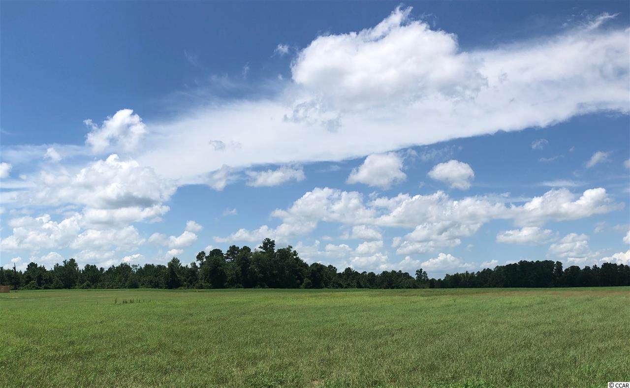 Tract 8-A Johnson Shortcut Rd. - Photo 1
