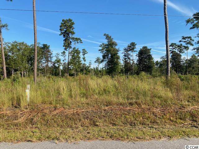 TBD Huckleberry Ln. - Photo 1