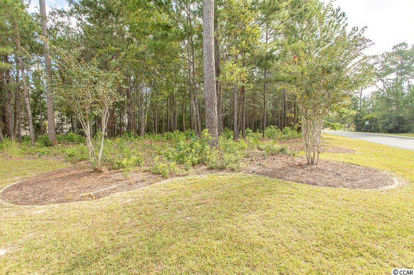 145 Camphill Circle - Photo 1