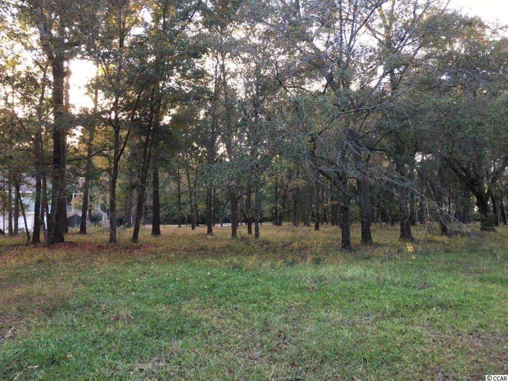 11 Shackleford Park Loop - Photo 1