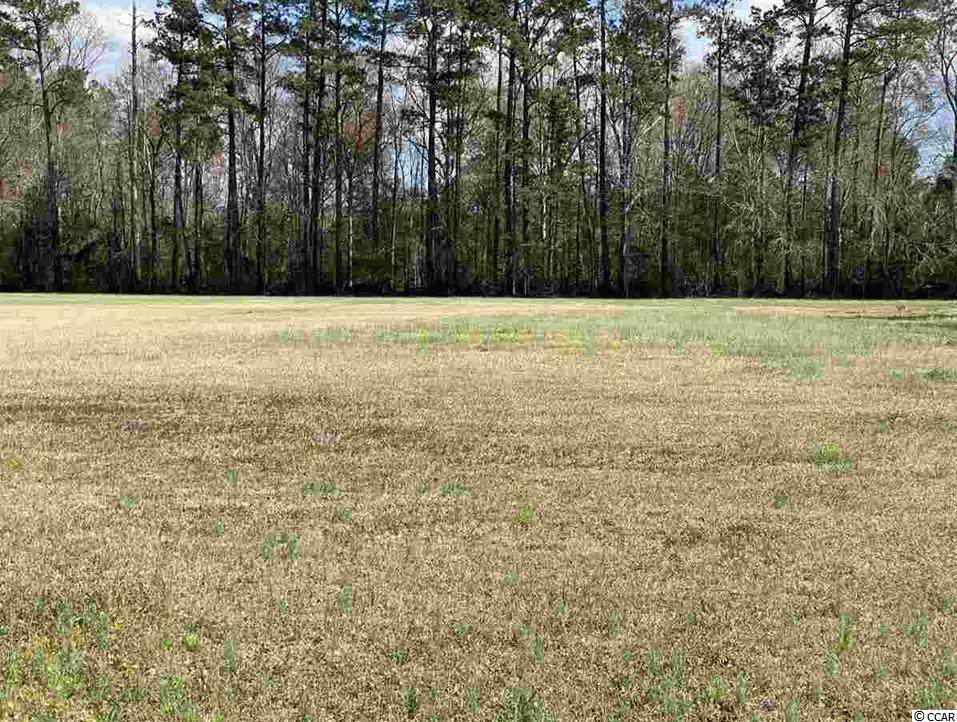 6443 Elbow Rd. - Photo 1