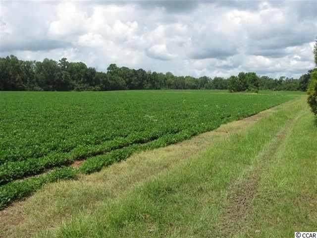 10 AC Pamplico Hwy. - Photo 1