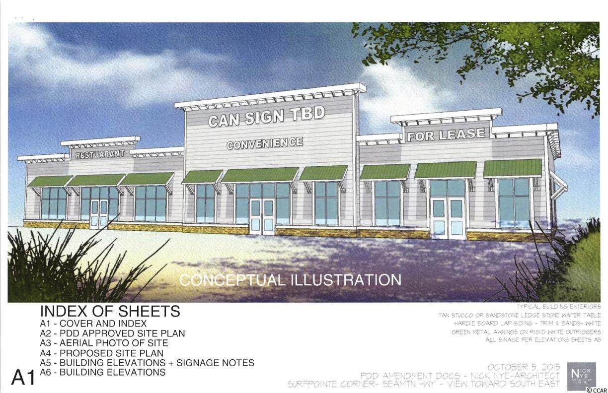 1111 Sea Mountain Hwy. - Photo 1