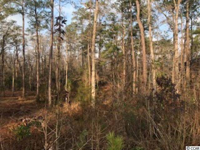 508 Chamberlain Dr. - Photo 1