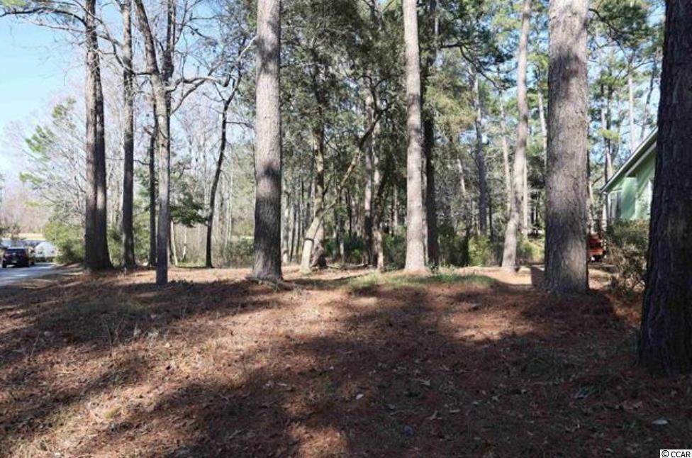 131 Capt Anthony White Ln. - Photo 1