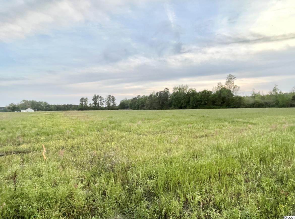 3729 Sandcastle Ln. - Photo 1