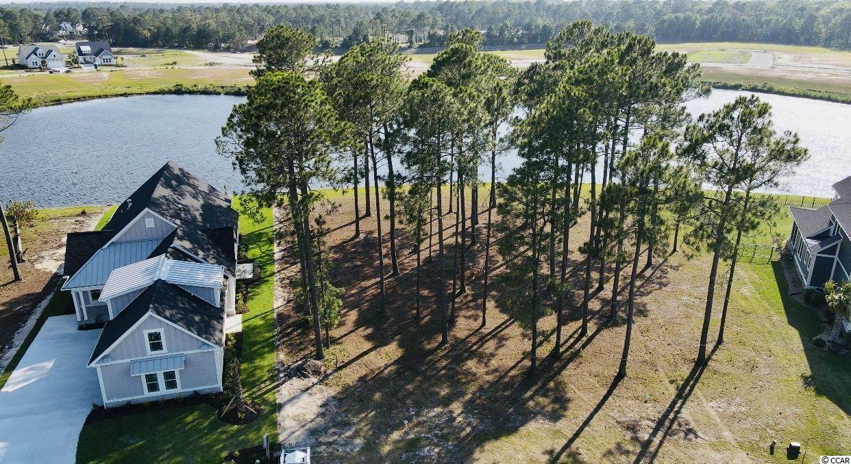 517 Starlit Way - Photo 1