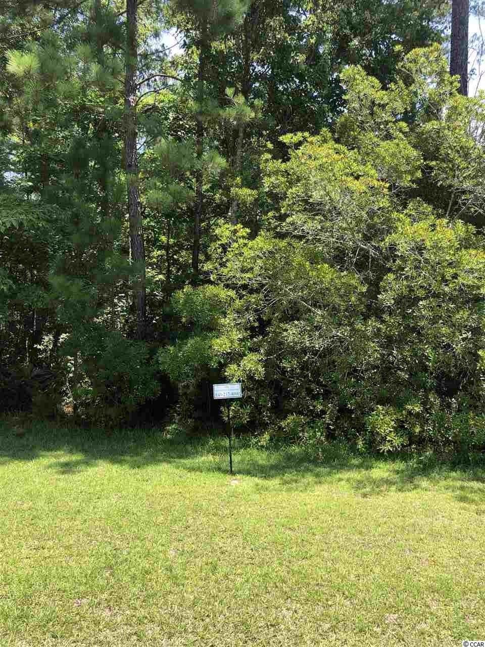168 Low Country Loop - Photo 1