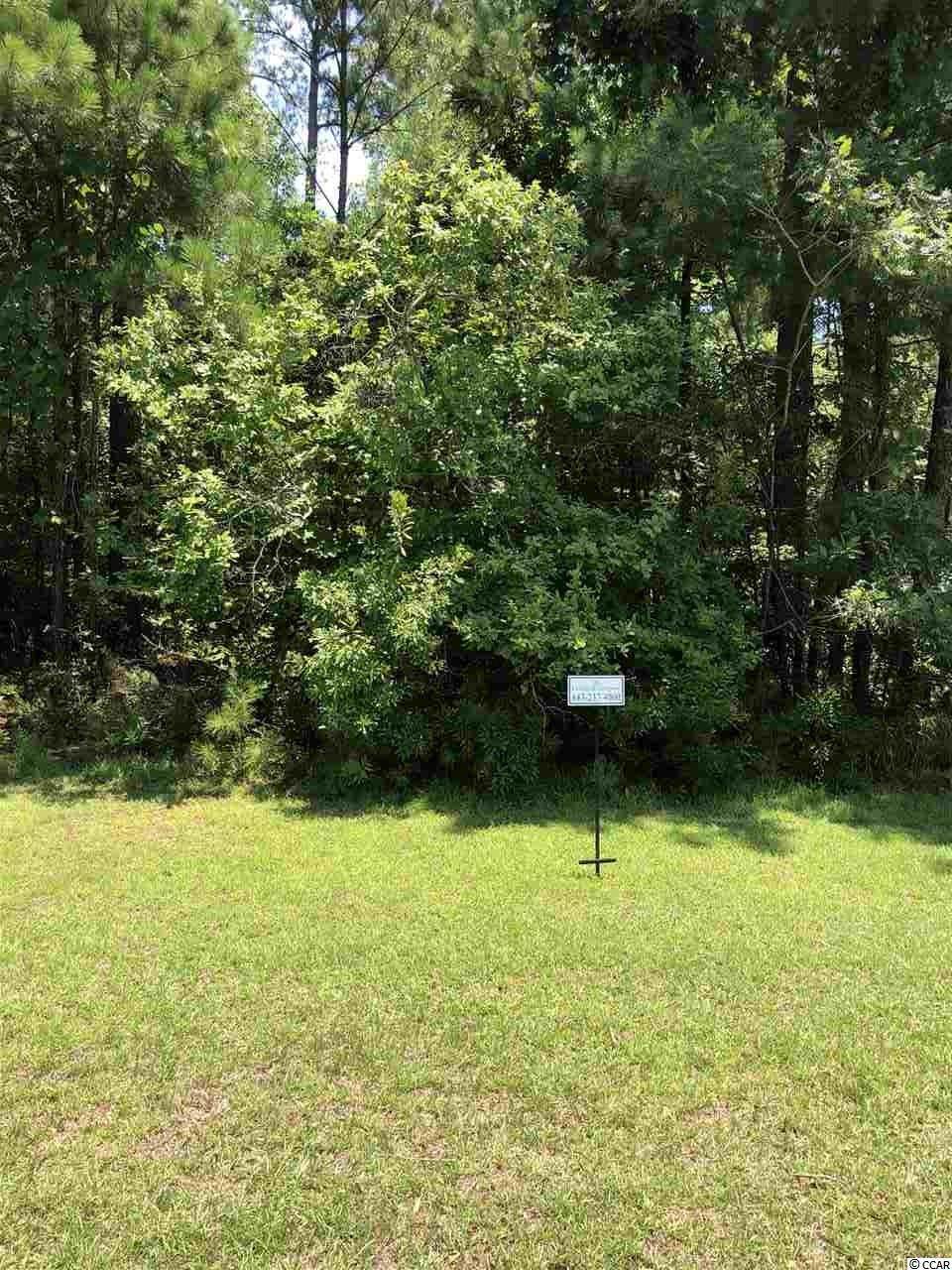 172 Low Country Loop - Photo 1