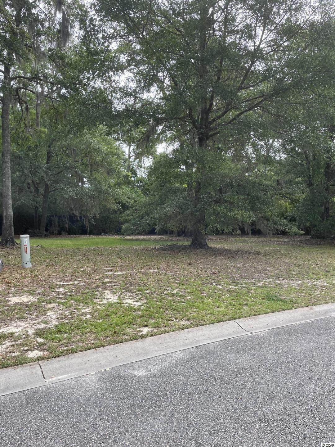 1407 Hunters Rest Dr. - Photo 1