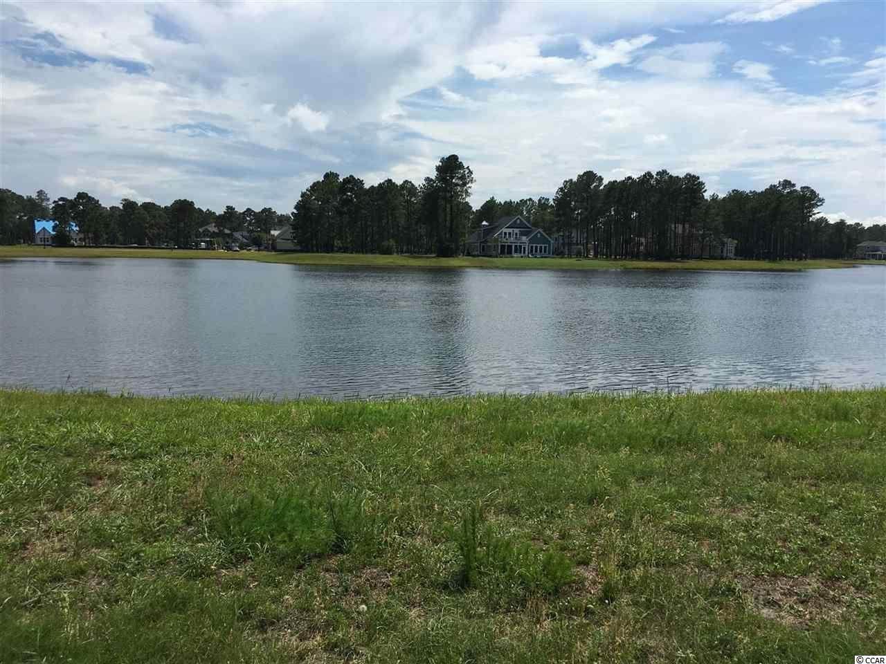 1019 Fiddlehead Way - Photo 1