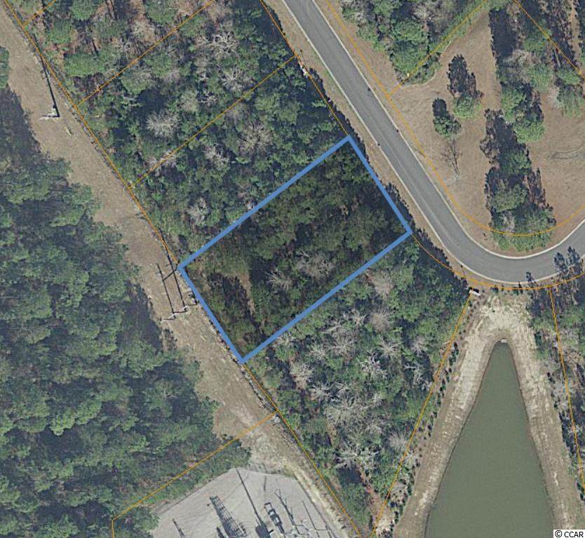 3045 Newcastle Loop - Photo 1