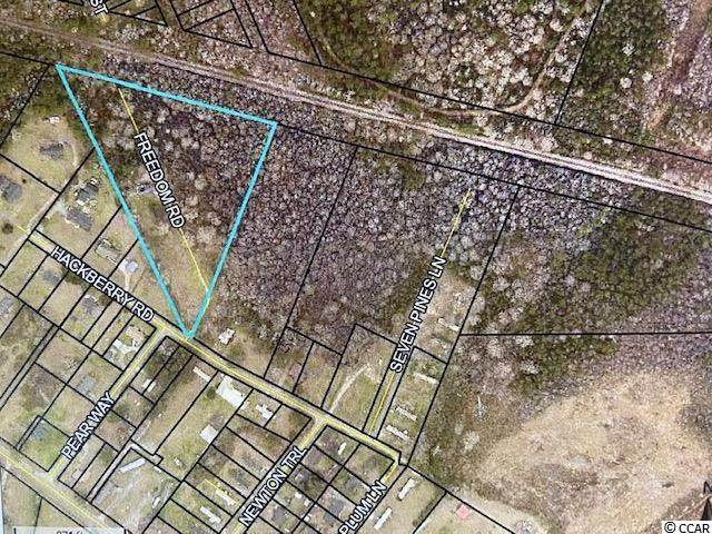 81 Freedom Rd. - Photo 1