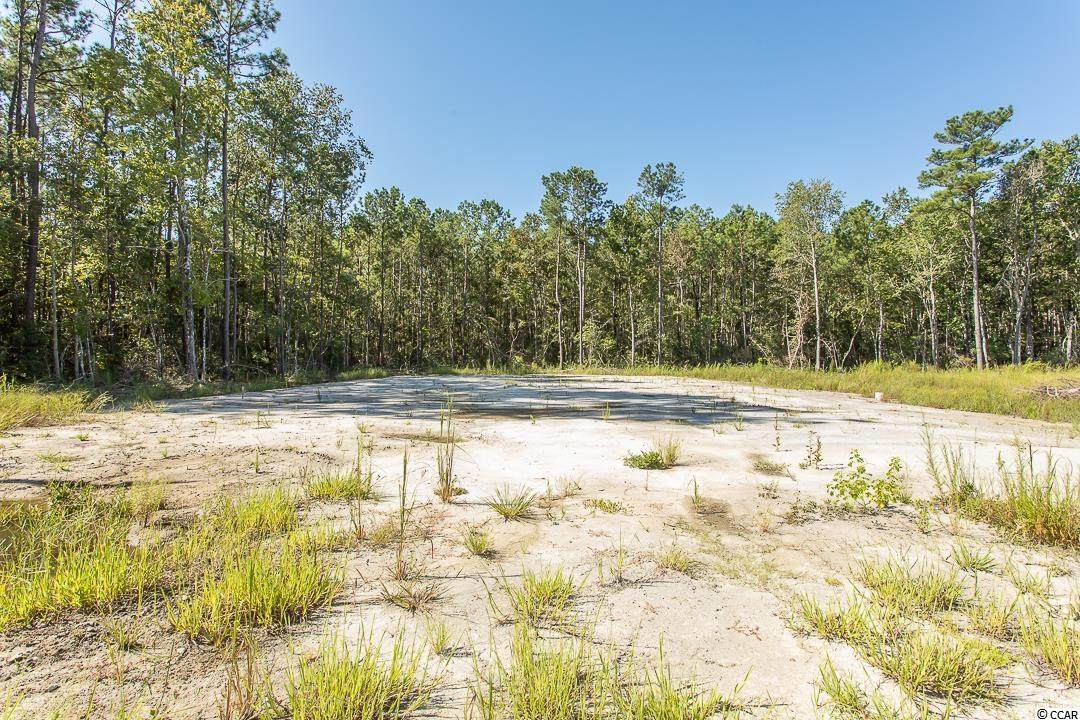 TBD Highway 57 N - Photo 1