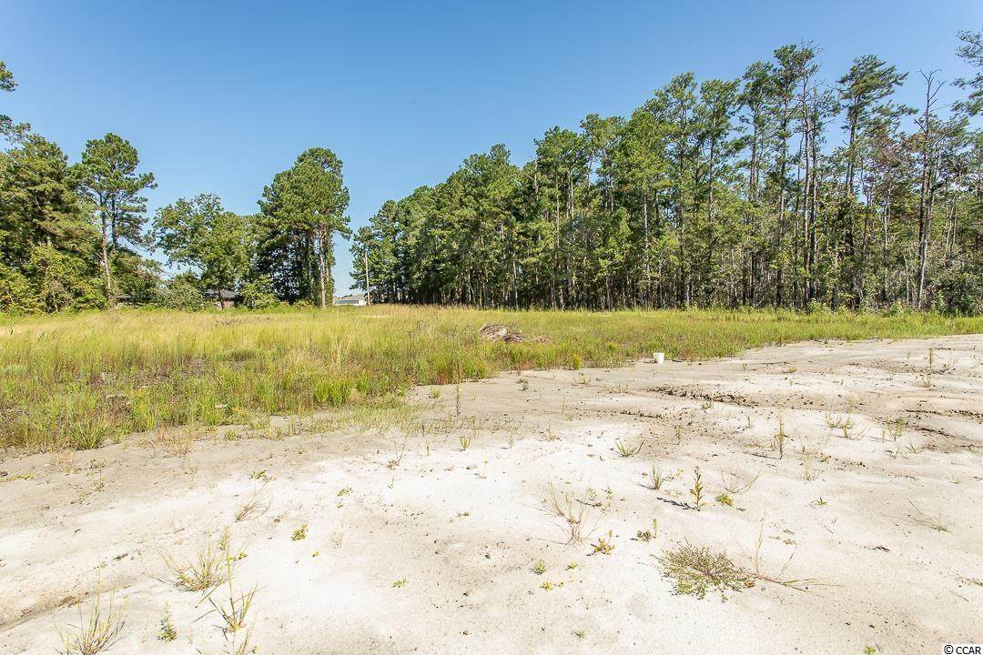 TBD Highway 57 N - Photo 1
