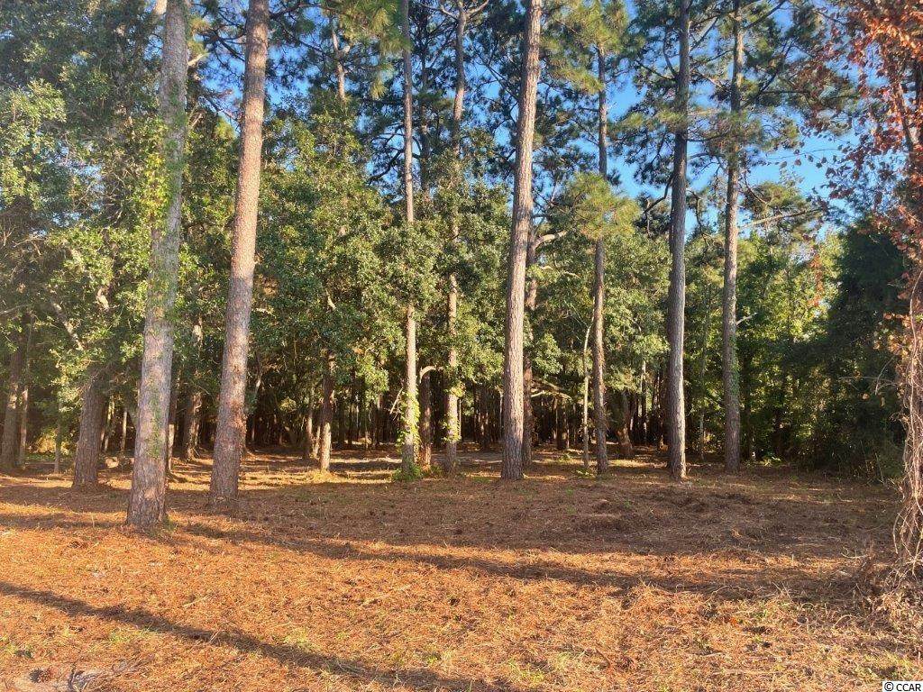 9890 Ocean Highway - Photo 1