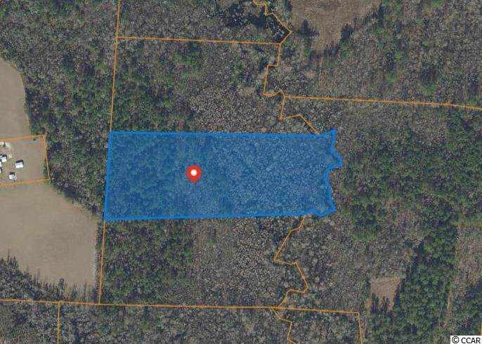 9 Acres +/- Cane Branch Rd. - Photo 1