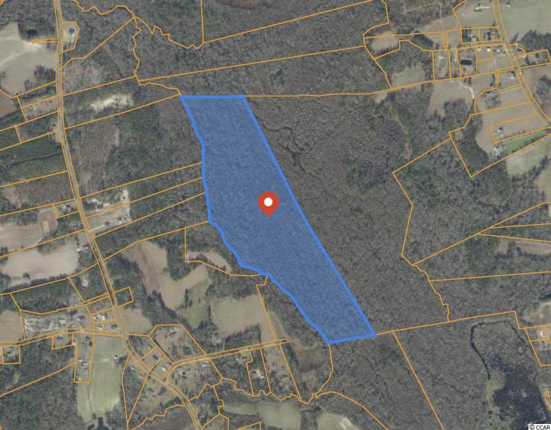 75 +/- Acres Highway 19 - Photo 1
