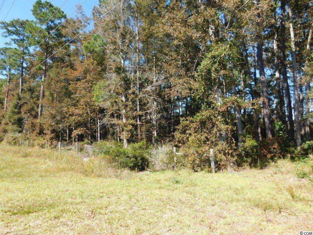 8750 Ocean Highway - Photo 1