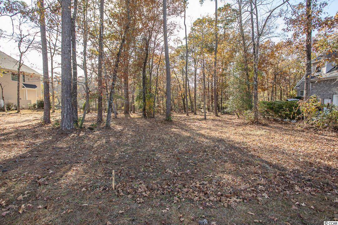 568 Chamberlin Rd. - Photo 1