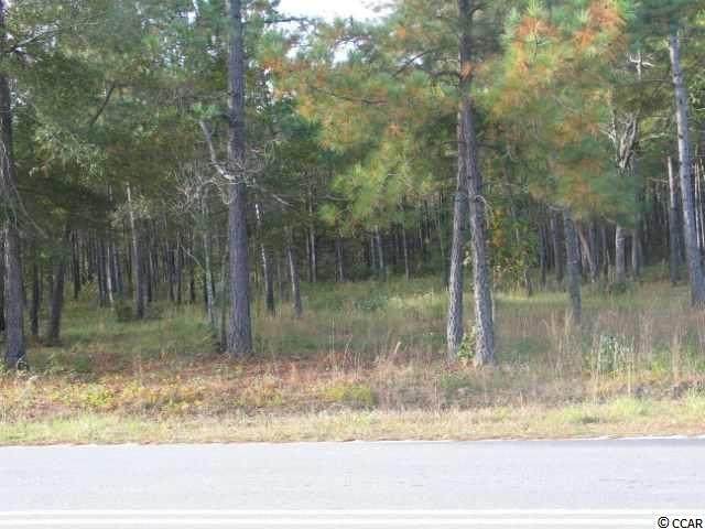 TBD Little Bethel Rd. - Photo 1