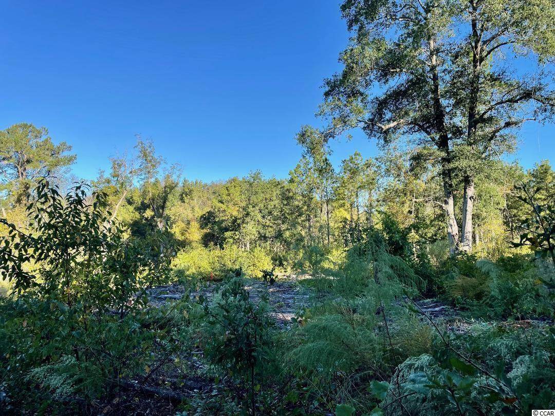 Old Mullins Hwy. - Photo 1