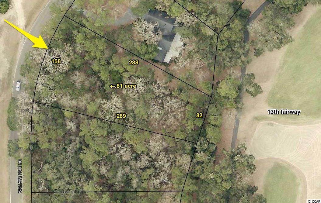 Lot 8 Wallace Pate Dr. - Photo 1