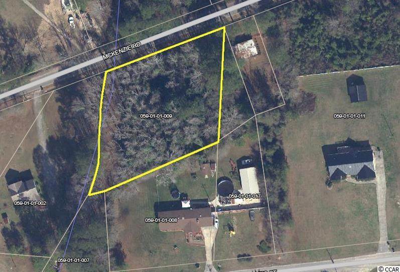 TBD Mckenzie Rd. - Photo 1