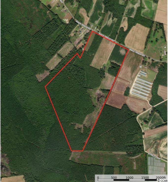755 Race Track Rd. - Photo 1