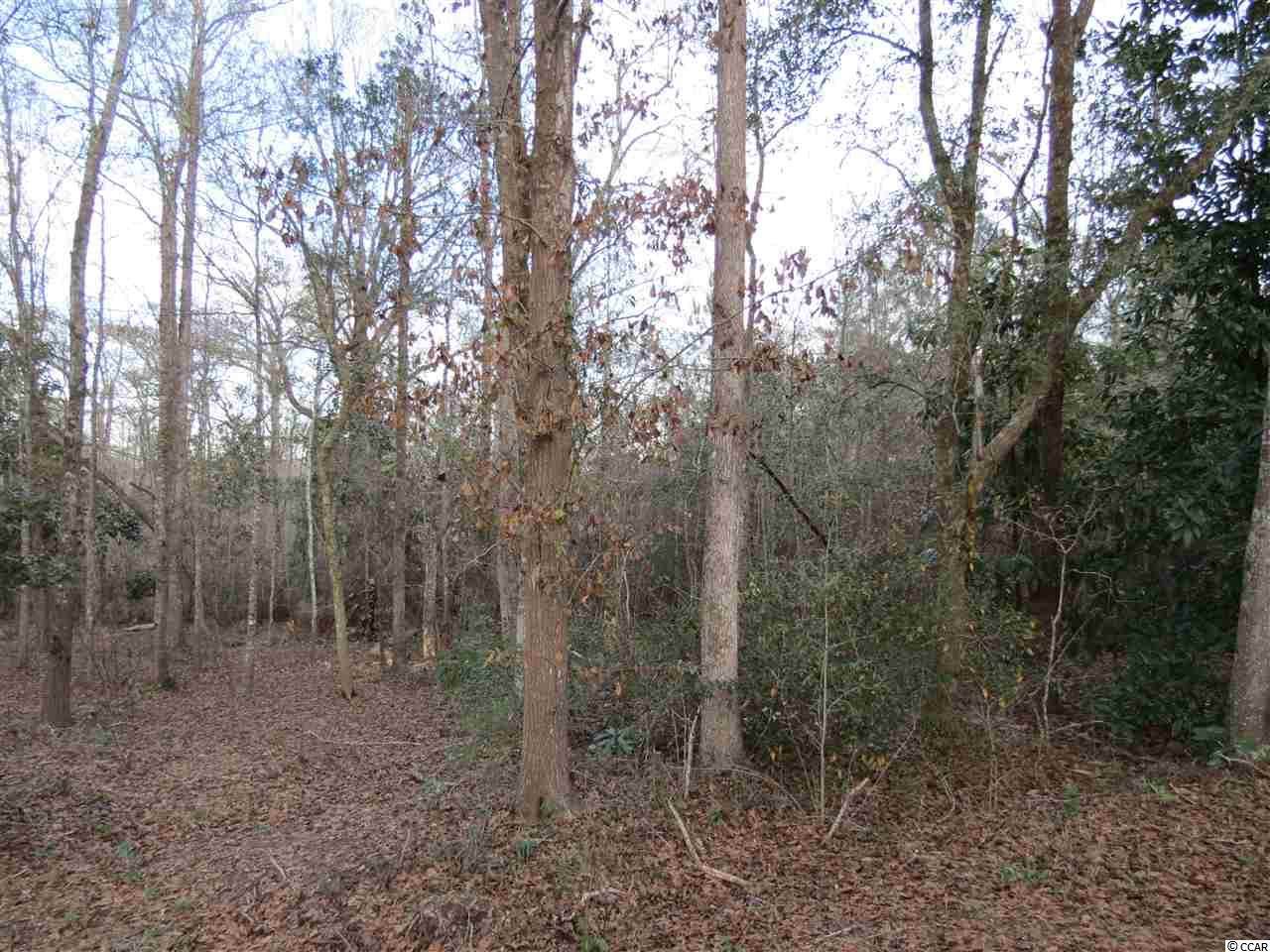 Lot 4,5 & 6 Meggett Dr. - Photo 1