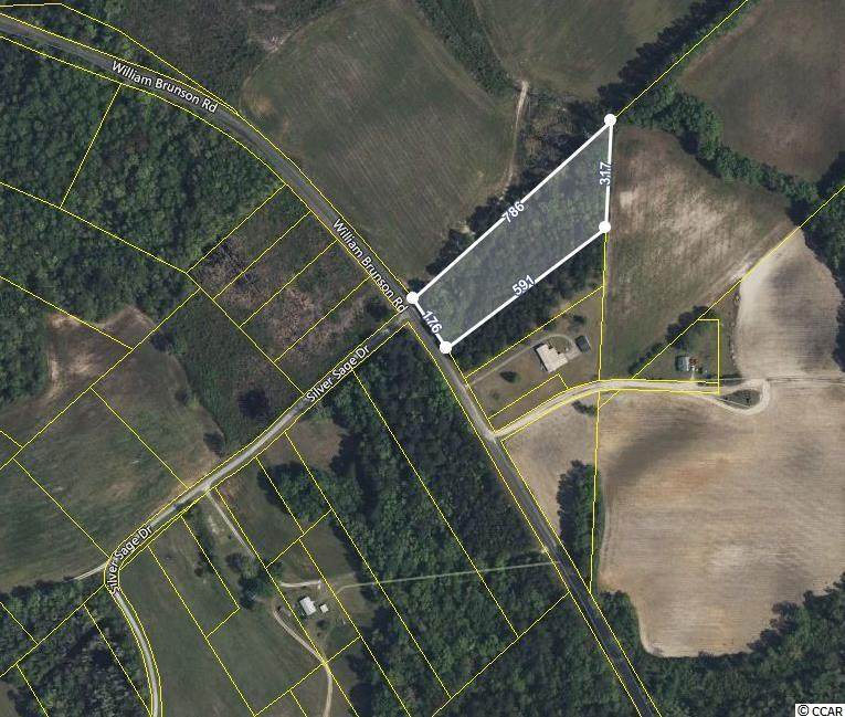 Lot 001 William Brunson Rd. - Photo 1